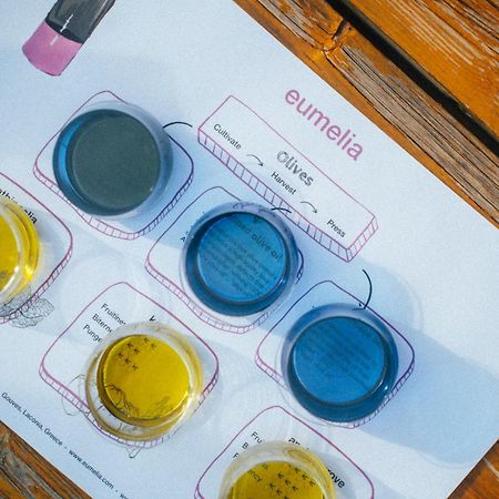 ホテル Eumelia Organic Agrotourism Farm Goúvai エクステリア 写真