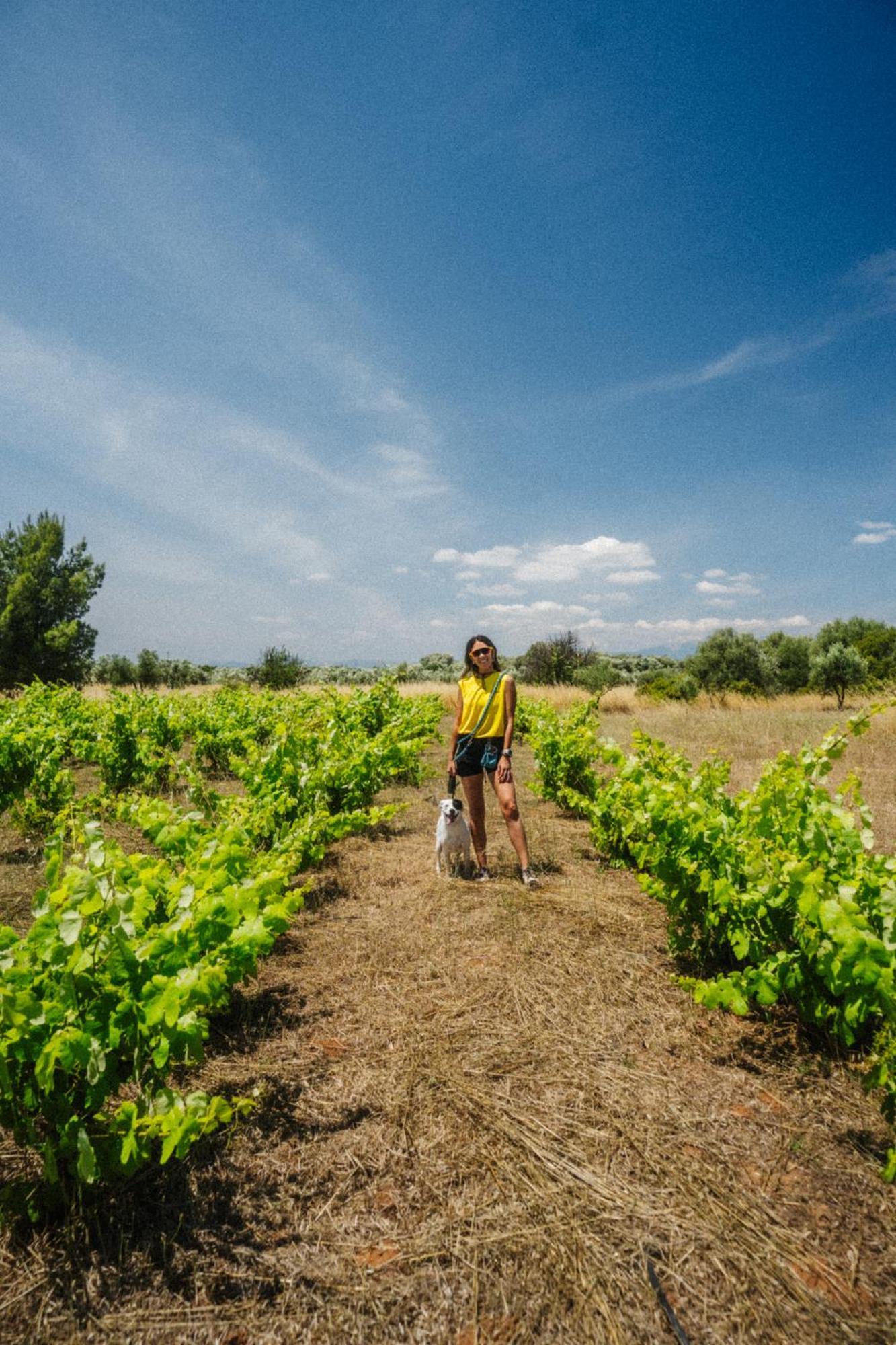 ホテル Eumelia Organic Agrotourism Farm Goúvai エクステリア 写真