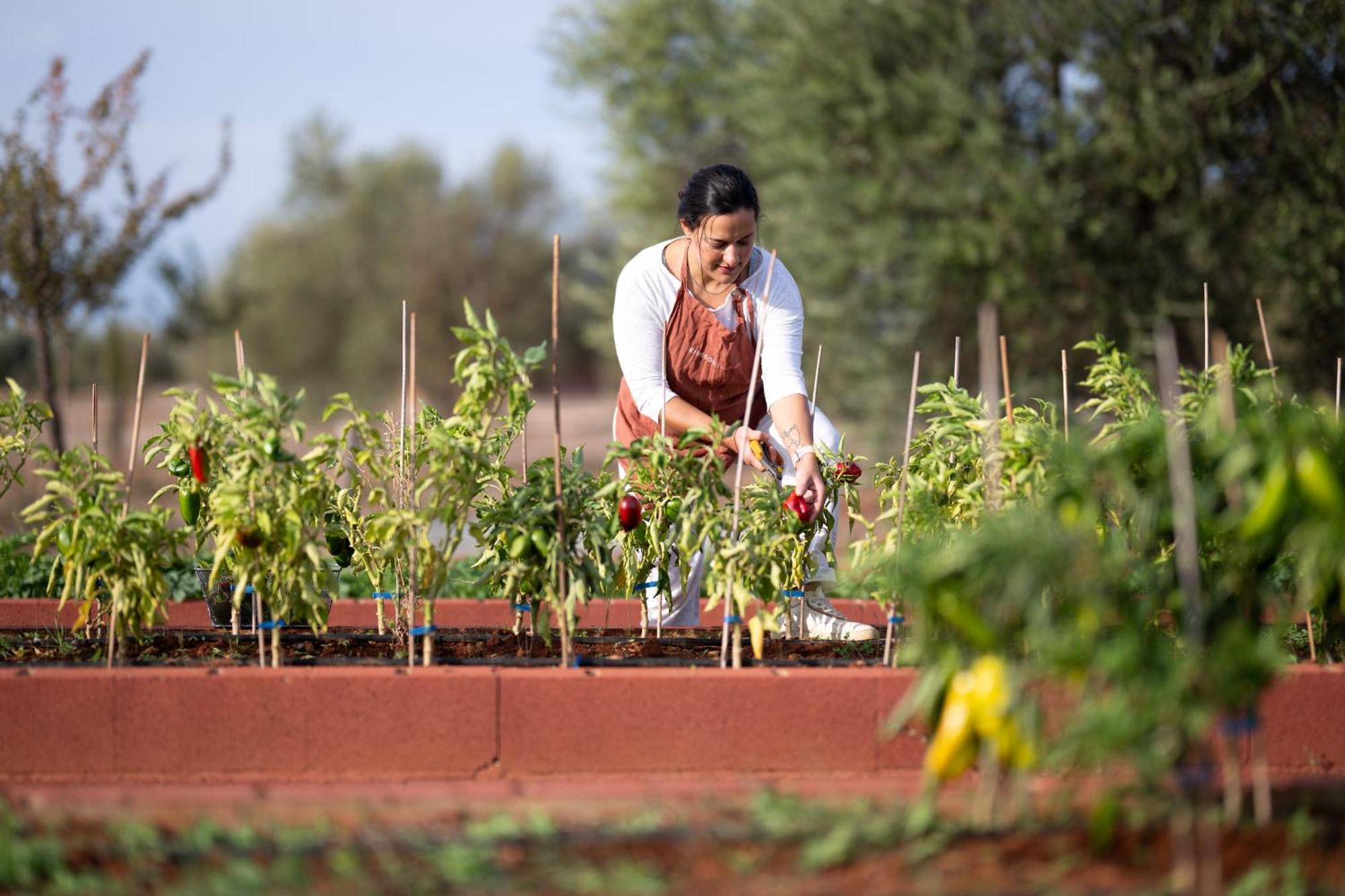 ホテル Eumelia Organic Agrotourism Farm Goúvai エクステリア 写真